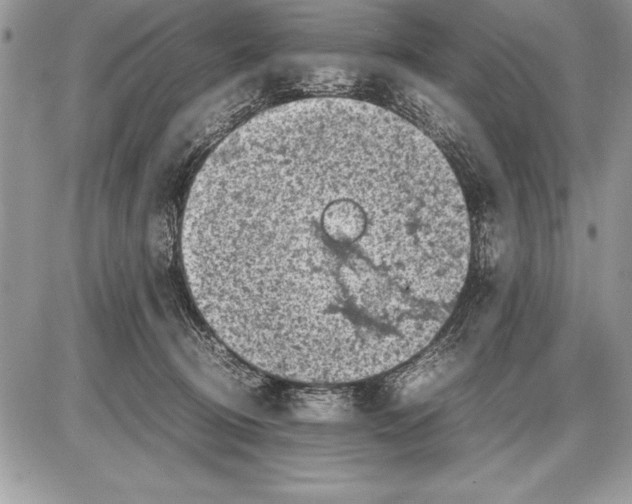 X0000085730370200704131625