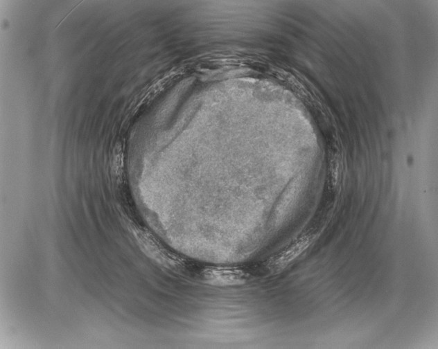 X0000085730372200704131625