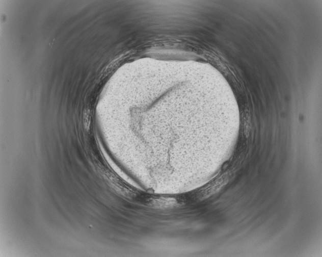 X0000085730374200704131625