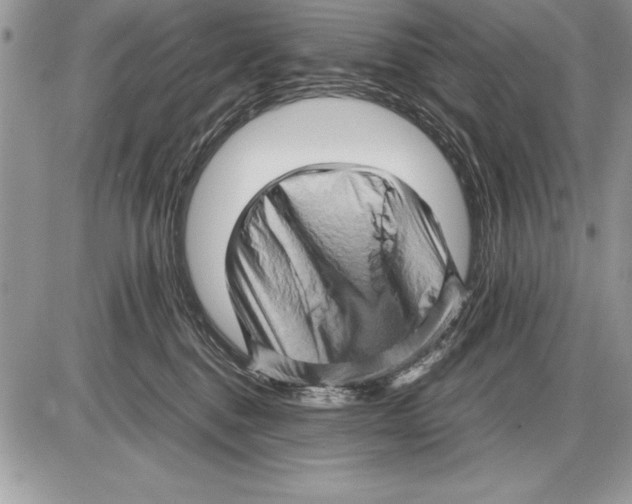 X0000085730376200704131625