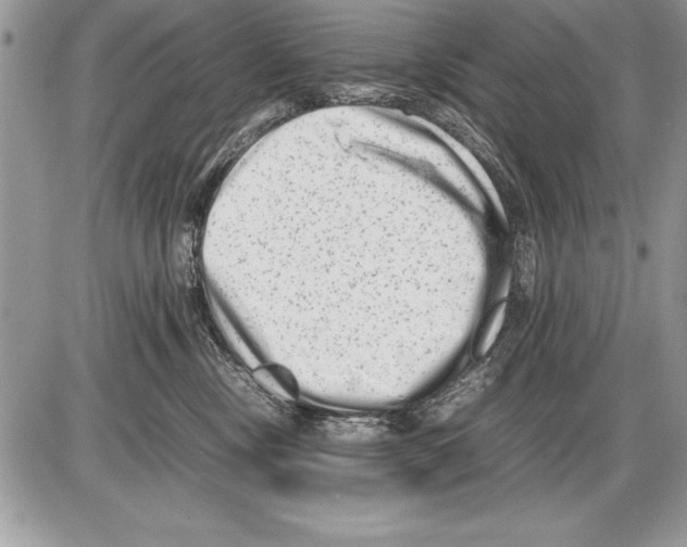 X0000085730378200704131625