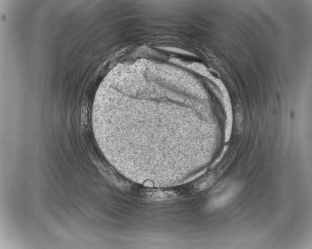 X0000085730379200704131625