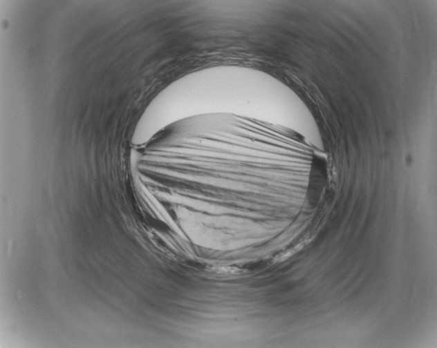 X0000085730380200704131625