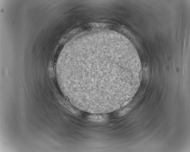 X0000085730381200704131625