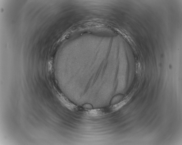 X0000085730382200704131625