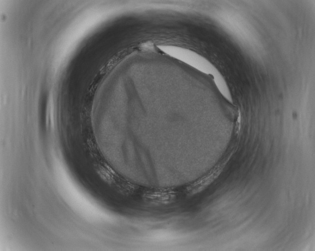 X0000085730383200704131625