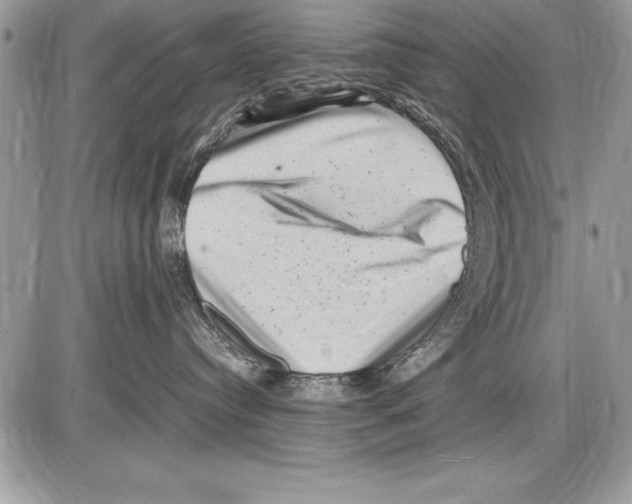 X0000085730384200704131625