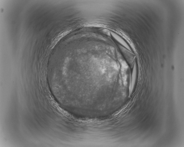 X0000085730385200704131625