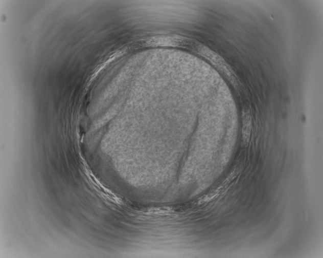 X0000085730386200704131625