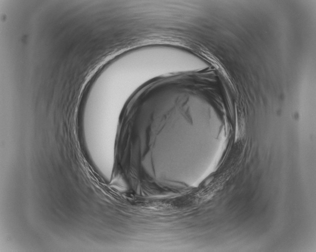 X0000085730387200704131625