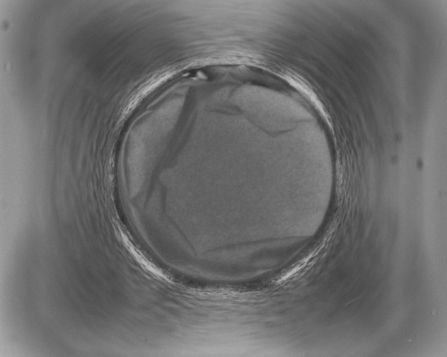 X0000085730389200704131625