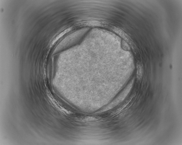 X0000085730390200704131624