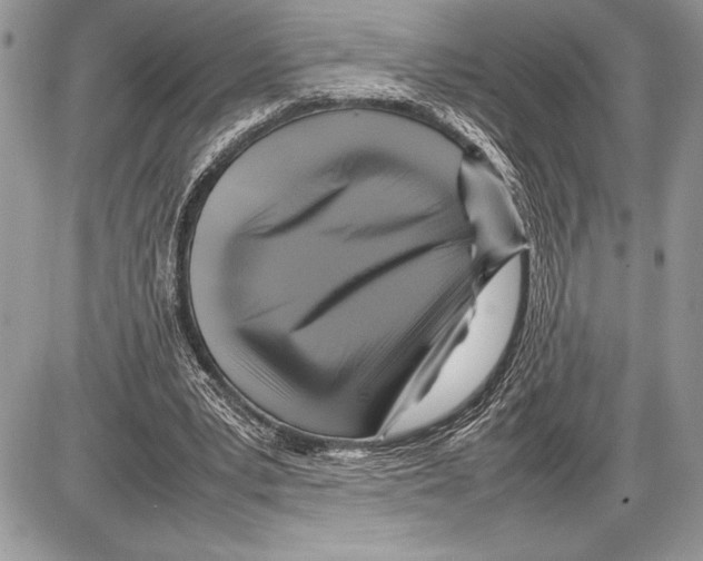 X0000085730391200704131624