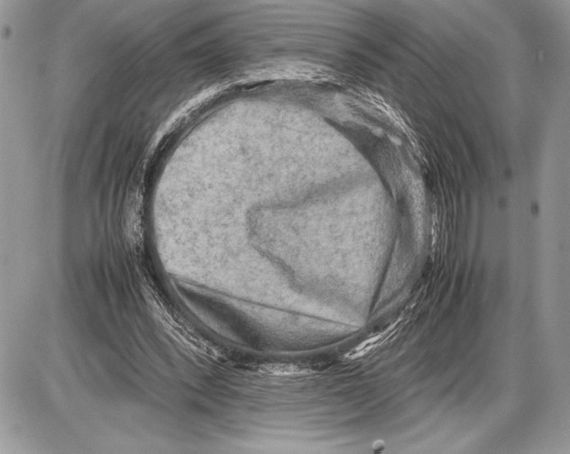 X0000085730392200704131624