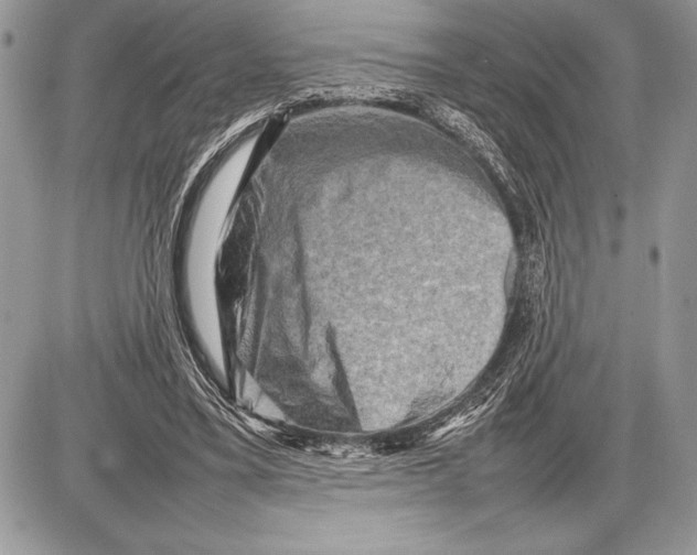 X0000085730395200704131624