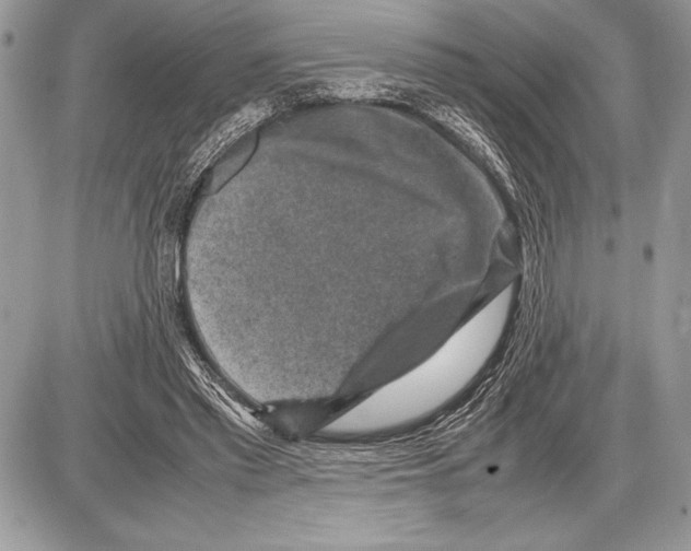 X0000085730397200704131624