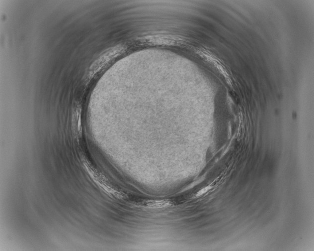 X0000085730398200704131624