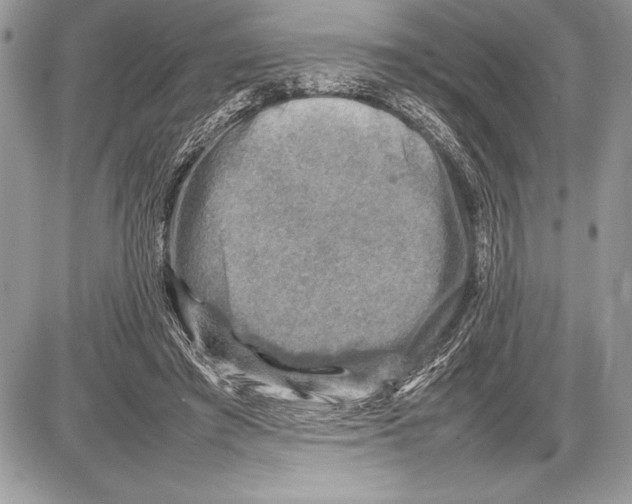 X0000085730401200704131624