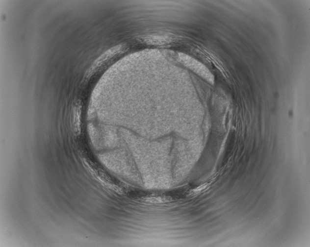 X0000085730404200704131624