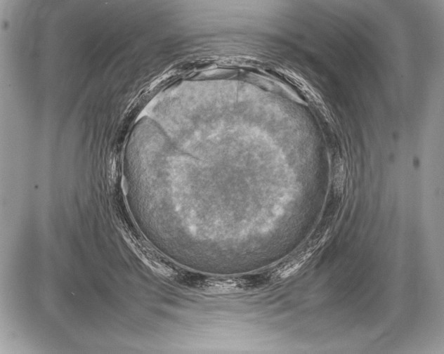 X0000085730405200704131624