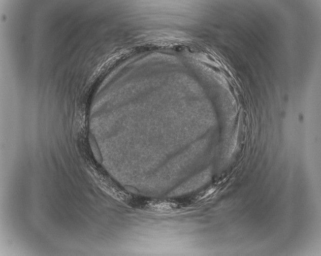 X0000085730407200704131624