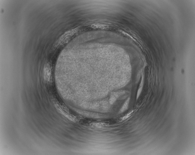 X0000085730408200704131624