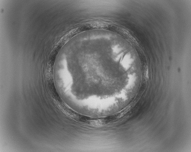 X0000085730411200704131624