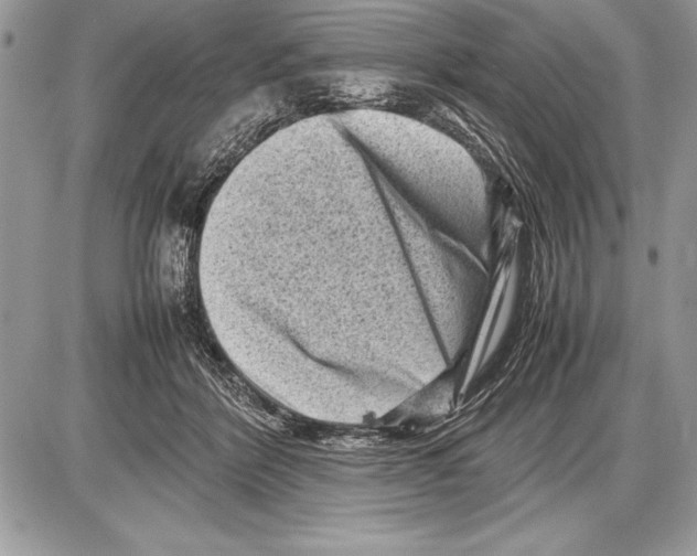 X0000085730412200704131624