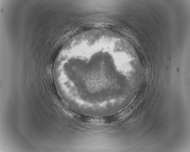 X0000085730415200704131624