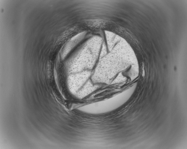 X0000085730416200704131624