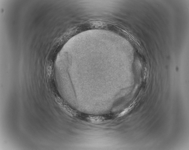 X0000085730417200704131624