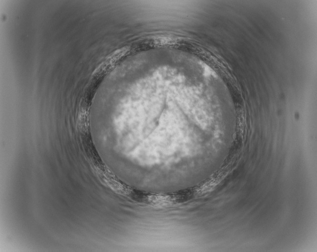 X0000085730419200704131624