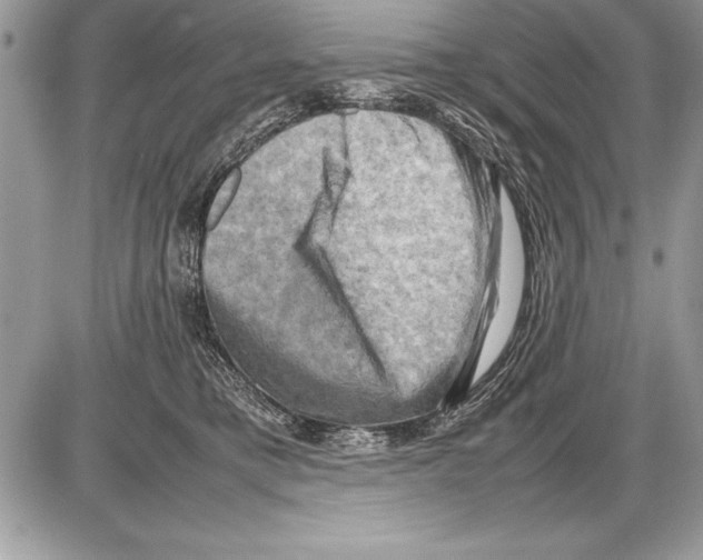 X0000085730421200704131624