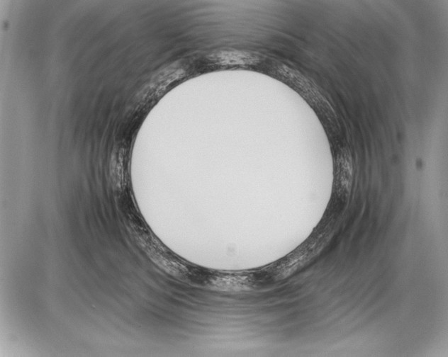 X0000085730422200704131624