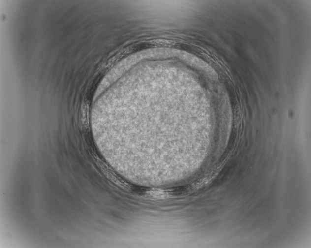 X0000085730425200704131624