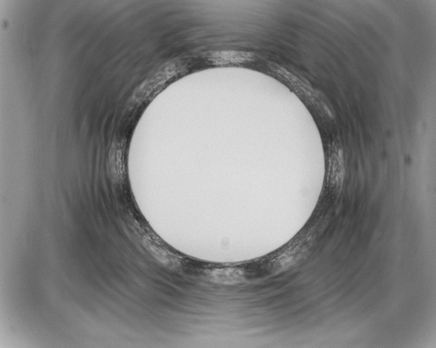 X0000085730426200704131624