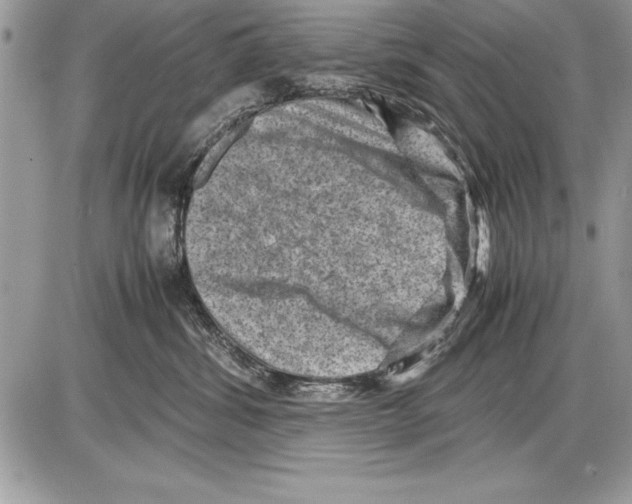 X0000085730428200704131624