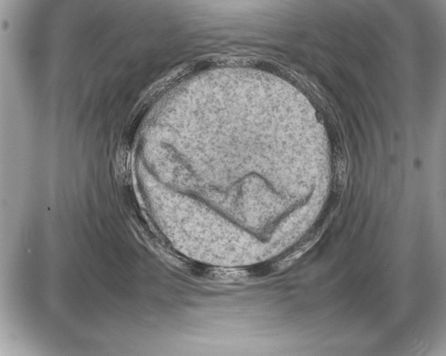 X0000085730429200704131624