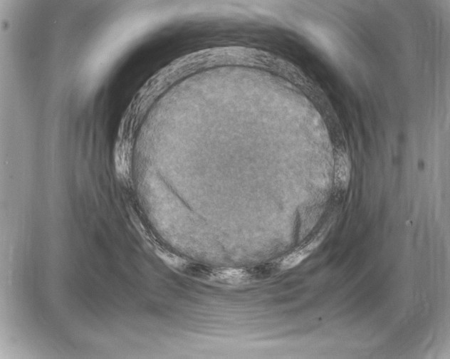 X0000085730431200704131624