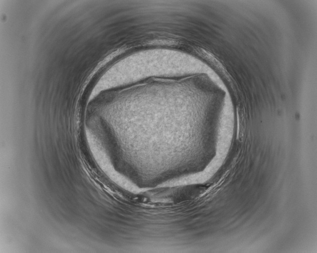 X0000085730435200704131623