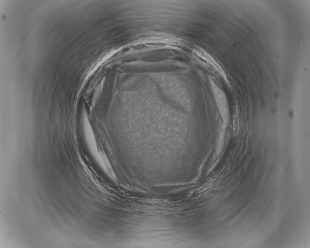 X0000085730436200704131623