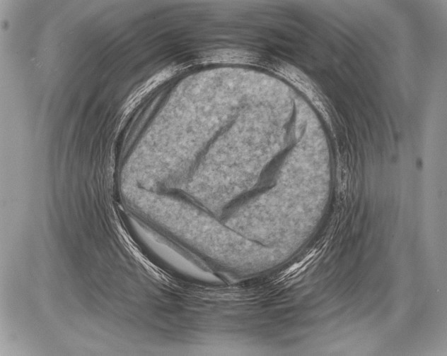 X0000085730437200704131623