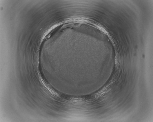 X0000085730438200704131623