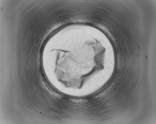 X0000085730439200704131623