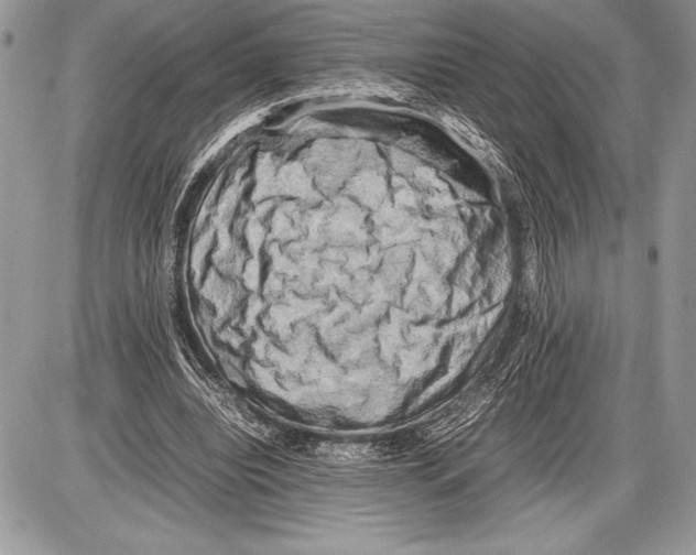 X0000085730440200704131623