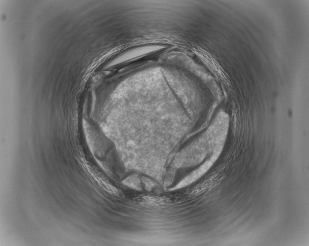 X0000085730442200704131623