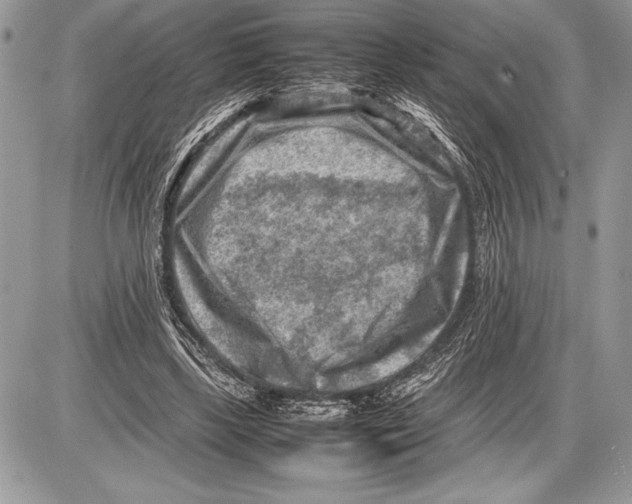 X0000085730443200704131623