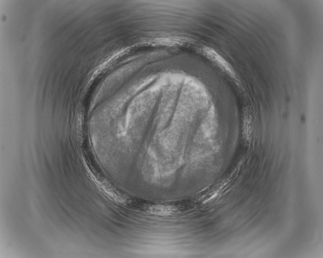 X0000085730444200704131623