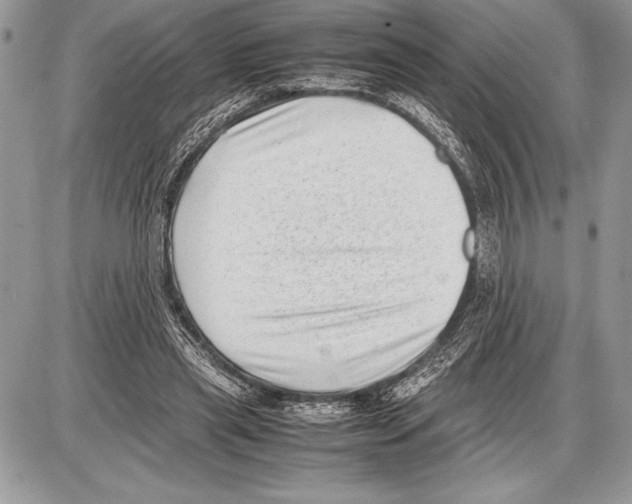 X0000085730445200704131623