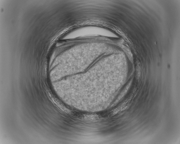 X0000085730446200704131623